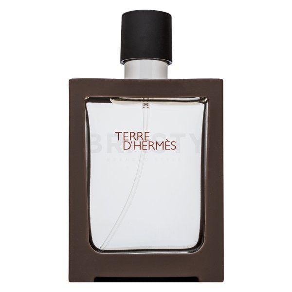 Hermes Terre D&