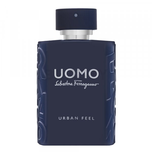 Salvatore Ferragamo Men Urban Feel EDT M 100 ml