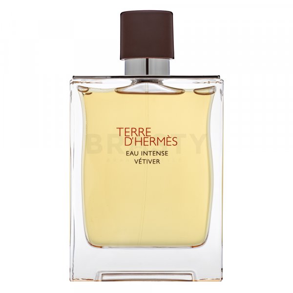 Hermes Terre D&