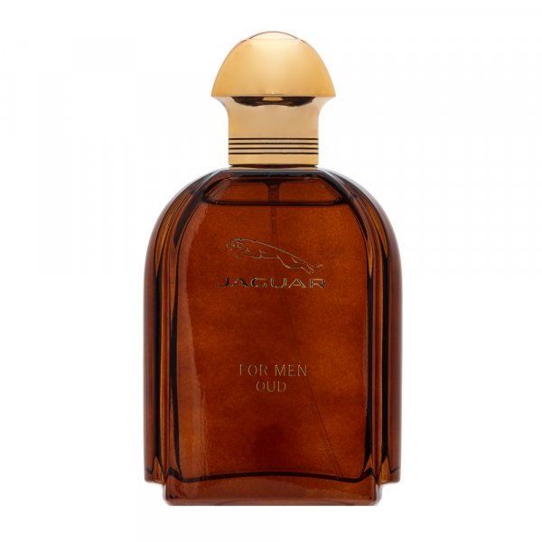 Jaguar Oud Men EDP M 100 ml