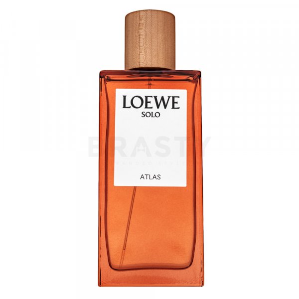 Loewe Solo Atlas EDP M 100 ml