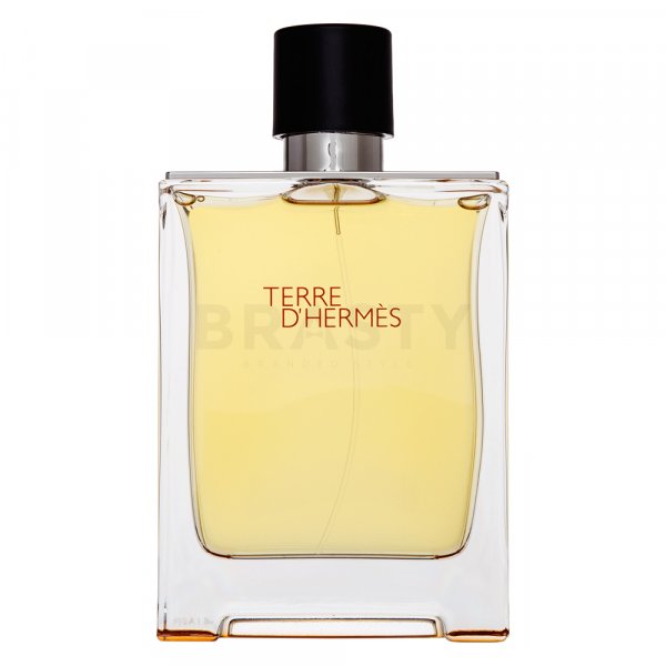 Hermes Terre D&