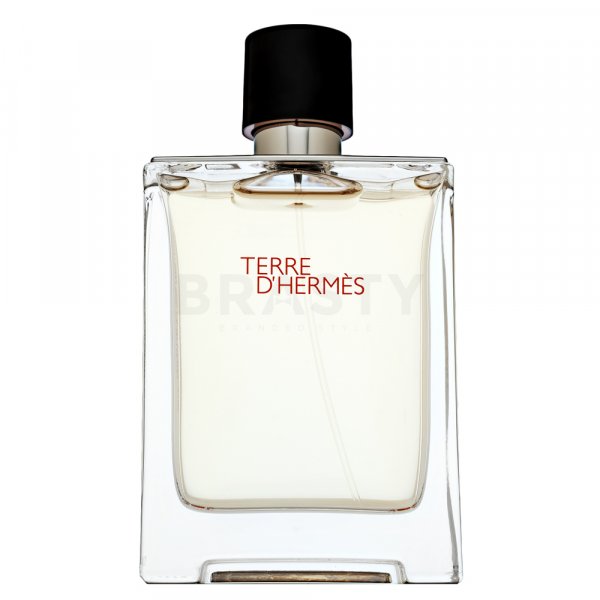 Hermes Terre D&