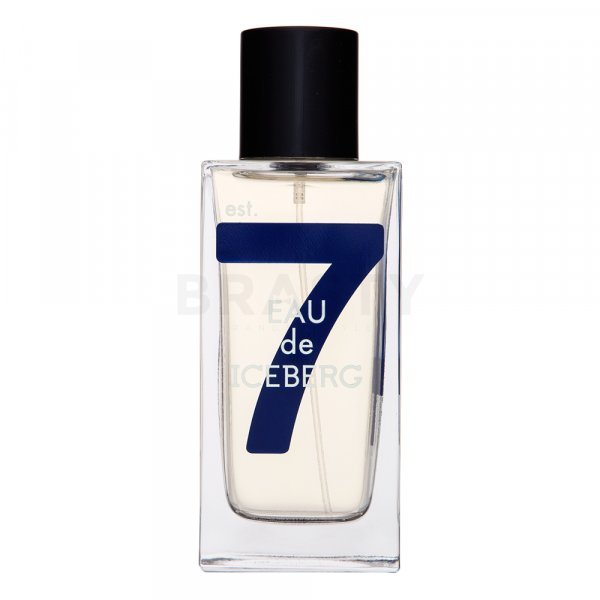 Iceberg Water of Iceberg Cedar EDT M 100 ml