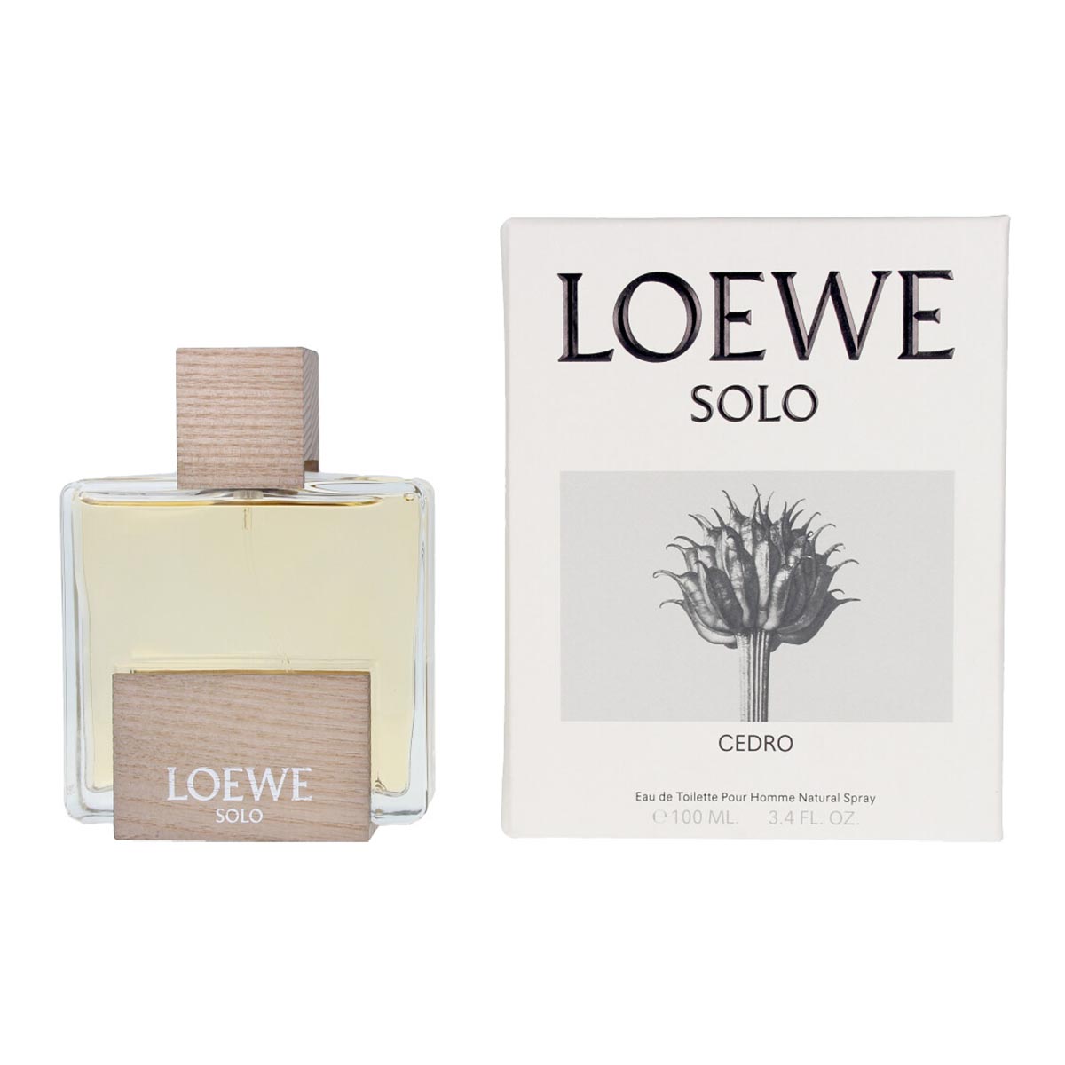 Only Loewe Cedro et 100 Vp - New Format