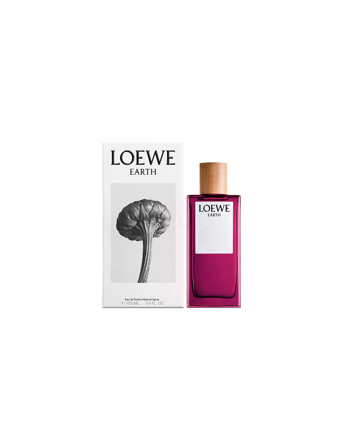 Loewe Earth Ep 100 Vap