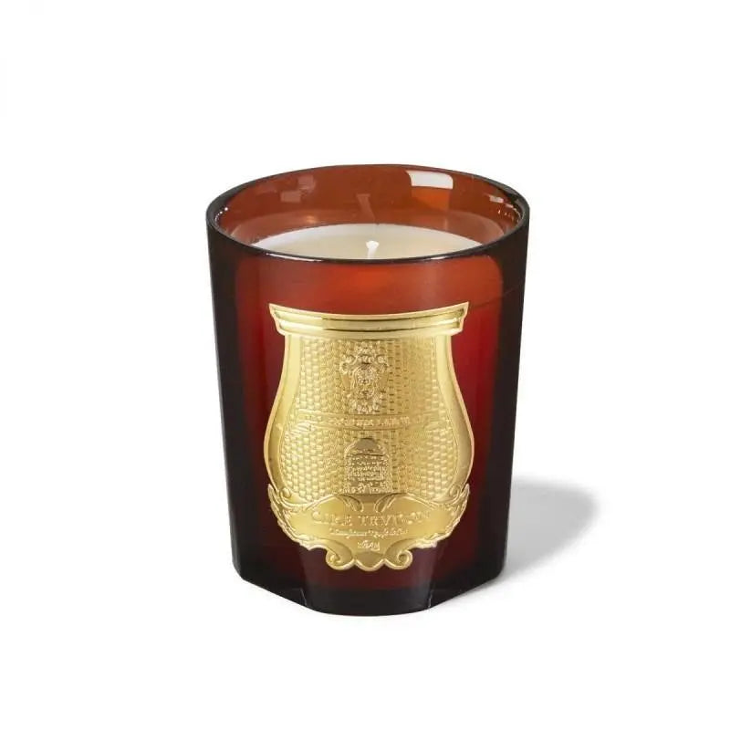 Trudon Cire Candle 270gr