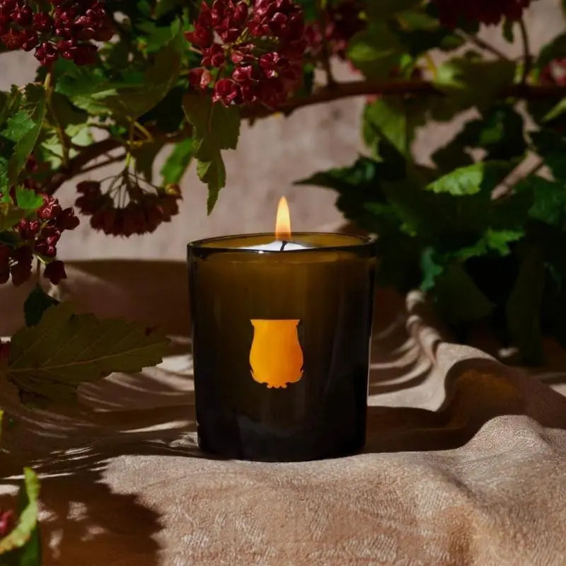 Trudon La Marquise Candle 270gr