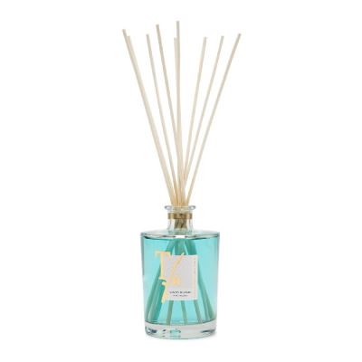 Teatro fragranze uniche Vento di Mare Sticks 500 ml