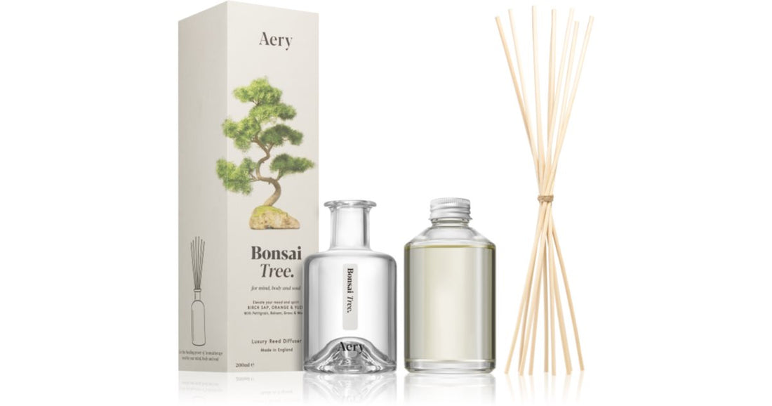 Aery Botanical Bonsai Tree 200 ml