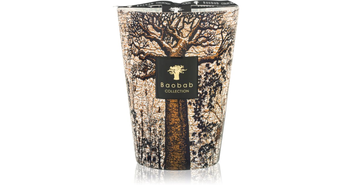 Baobab Collection Sacred Trees Morondo scented candle 24 cm