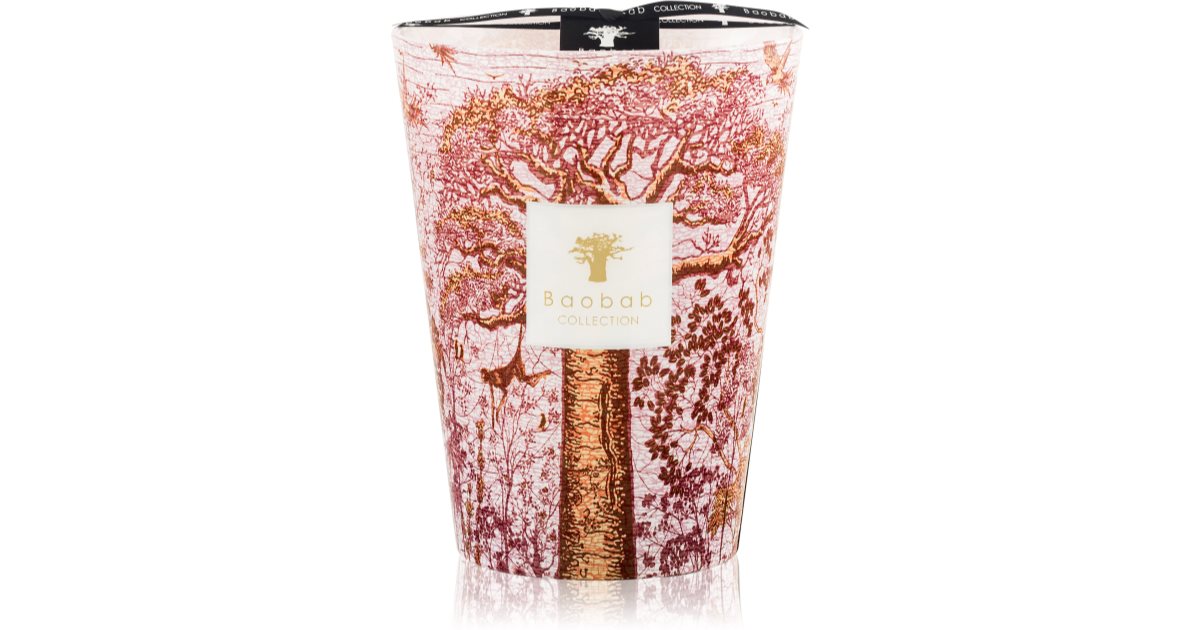 Baobab Collection Sacred Trees Woroba scented candle 24 cm