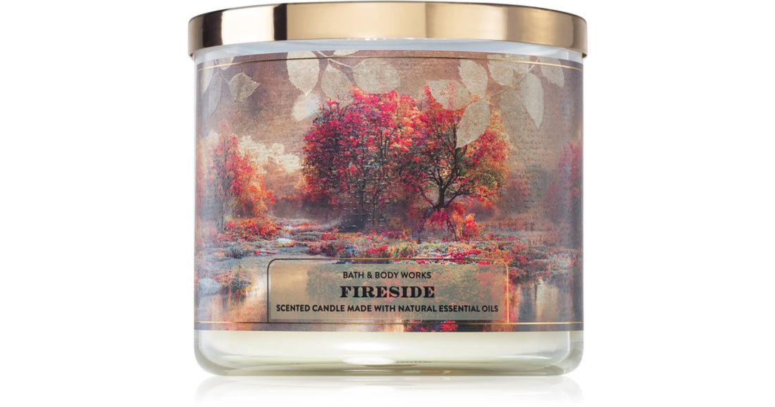 Bath &amp; Body Works Fireside 411 g