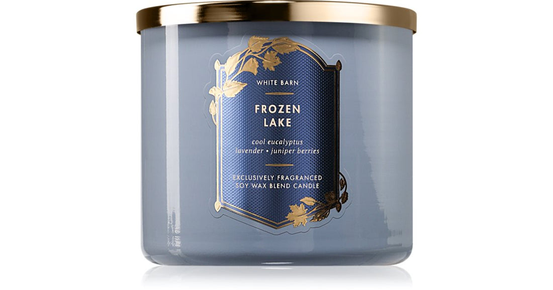 Bath &amp; Body Works Frozen Lake Scented Candle 411g