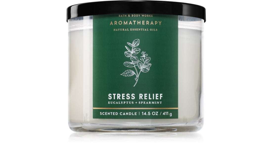 Bath &amp; Body Works Stress Relief Eucalyptus &amp; Spearmint scented candle 411 g