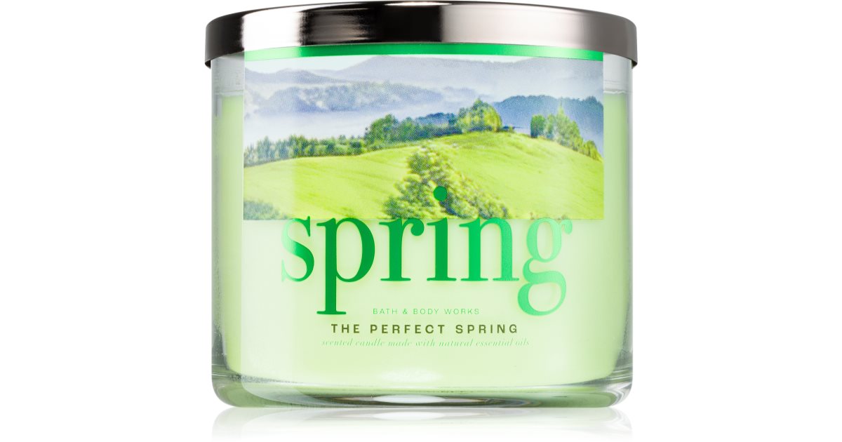 Bath &amp; Body Works The Perfect Spring 411g