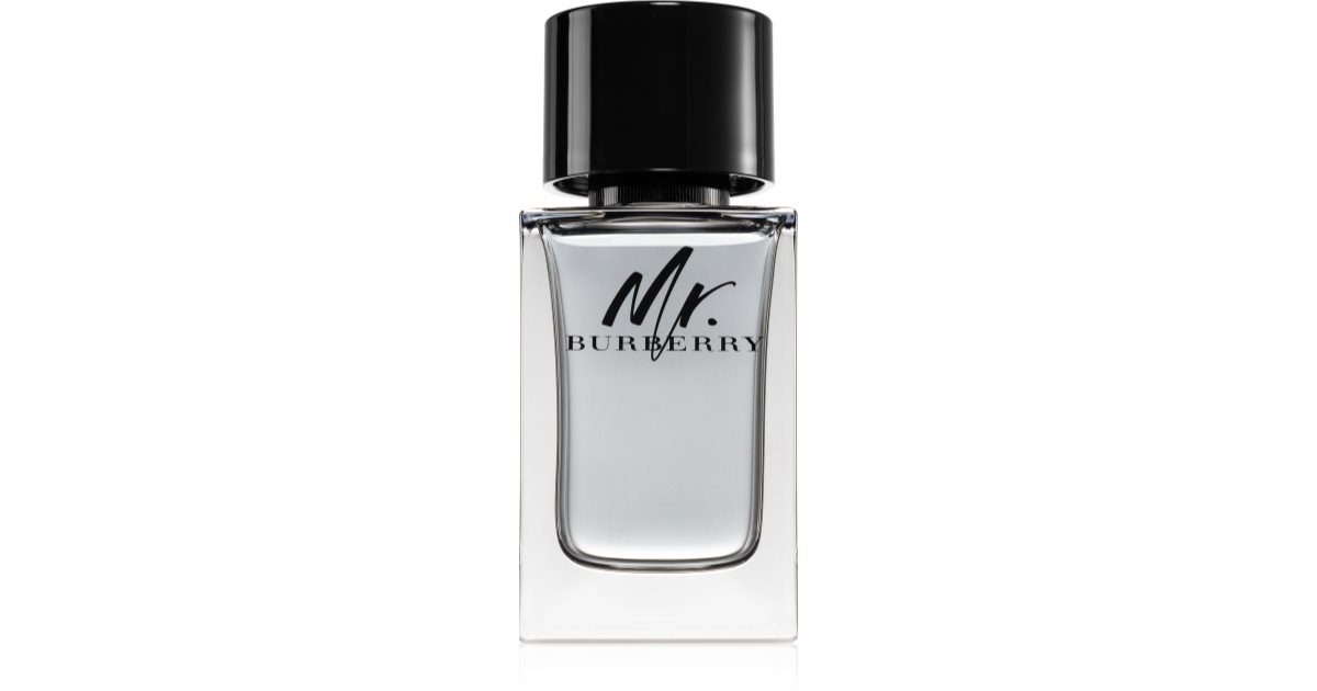 Burberry Mr. Burberry Eau de Toilette for men 150 ml