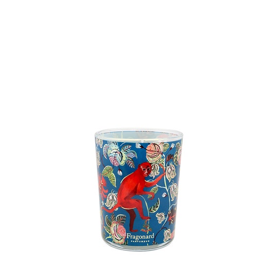 Fragonard Bois Dansant woody candle