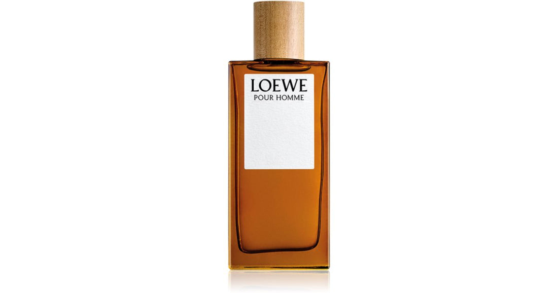 Loewe Eau de Toilette for men 100 ml