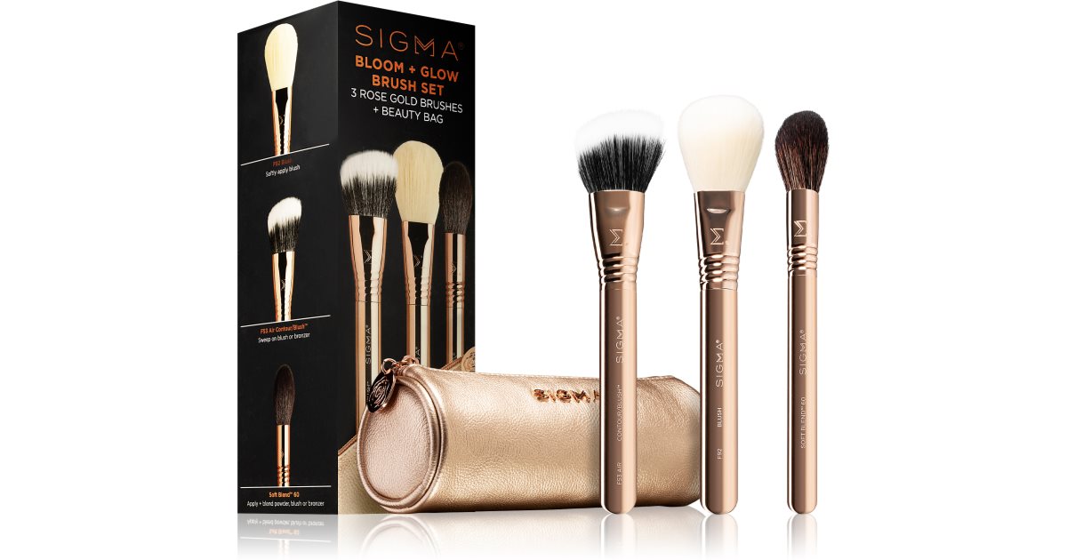 Sigma Bloom + Glow beauty brush set