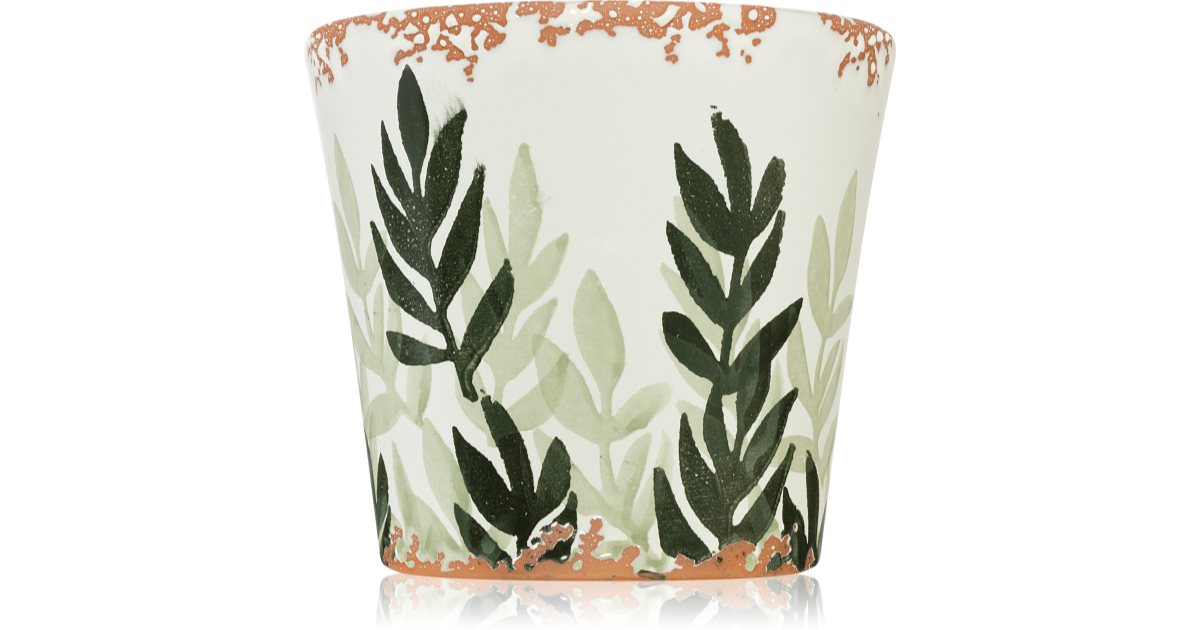 Wax Design Fig Leaf scented candle 14 cm